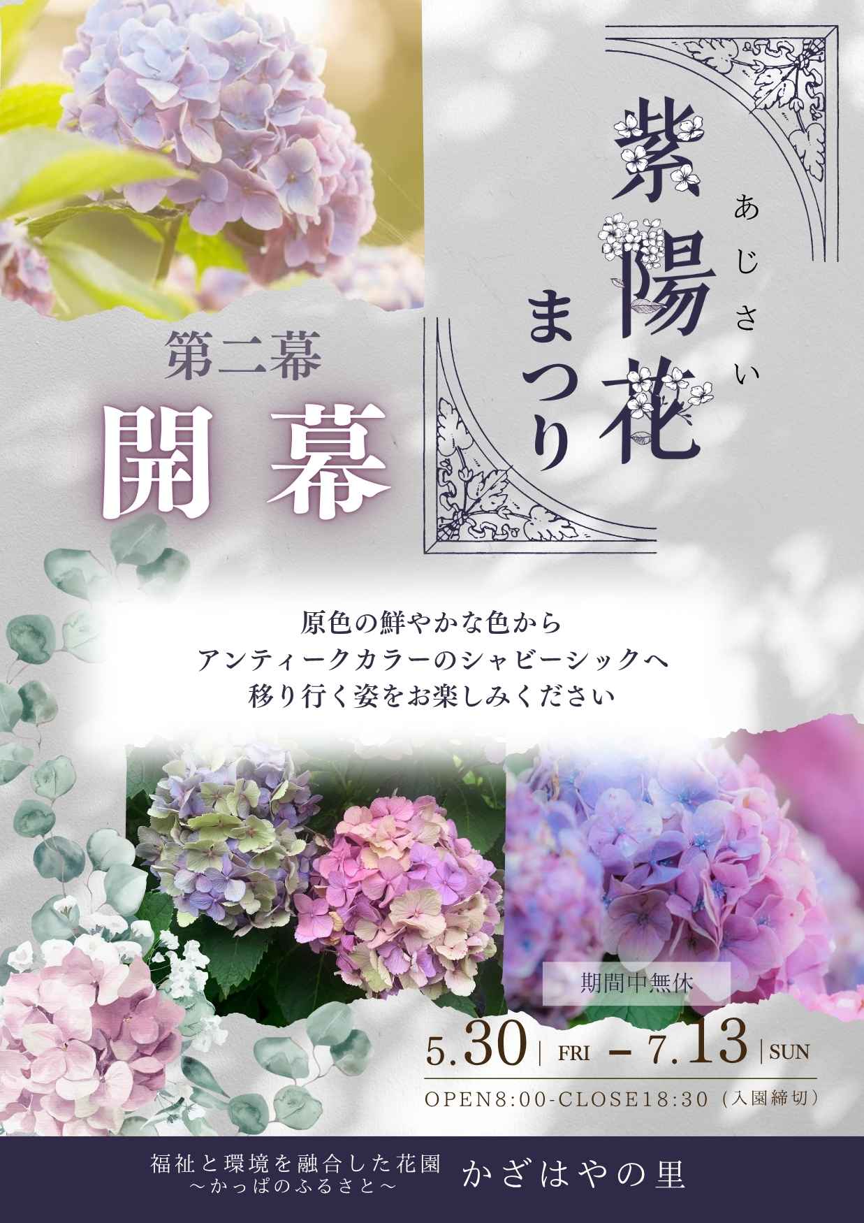 紫陽花まつり 第二幕 ― シャビーシックのはじまり ― | かざはやの里
